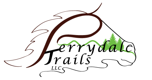 DkLogo_final_Color2